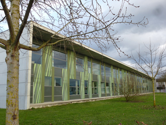 Gymnasium